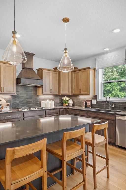 4187 Narrows Canyon Trail, Chaska, MN 55318 — photo 2