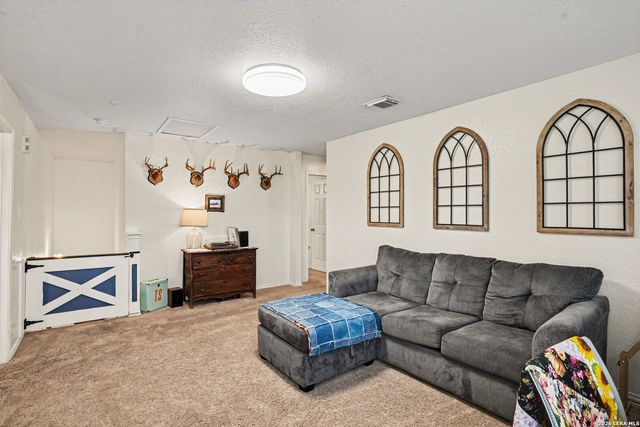 386 Copper Bluff Dr, New Braunfels, TX 78130