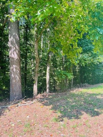 109 Hawks Court, Ball Ground, GA 30107