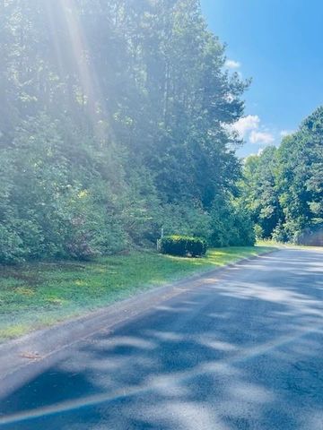 109 Hawks Court, Ball Ground, GA 30107