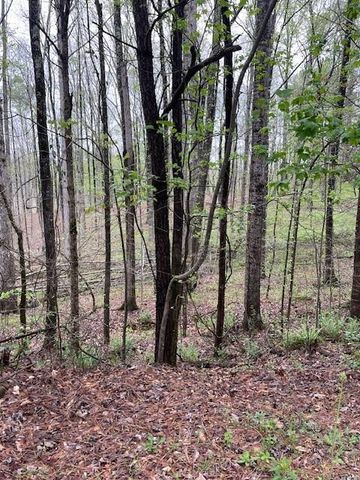 109 Hawks Court, Ball Ground, GA 30107