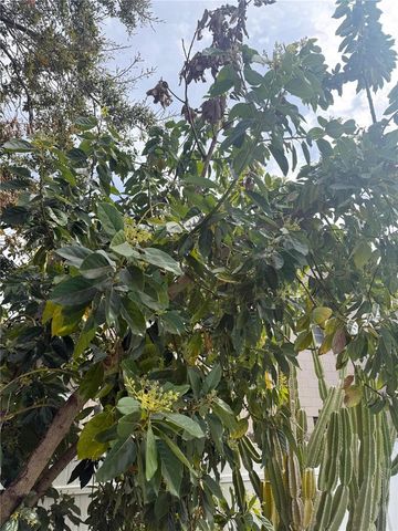 29 E PRINCETON STREET, Orlando, FL 32804