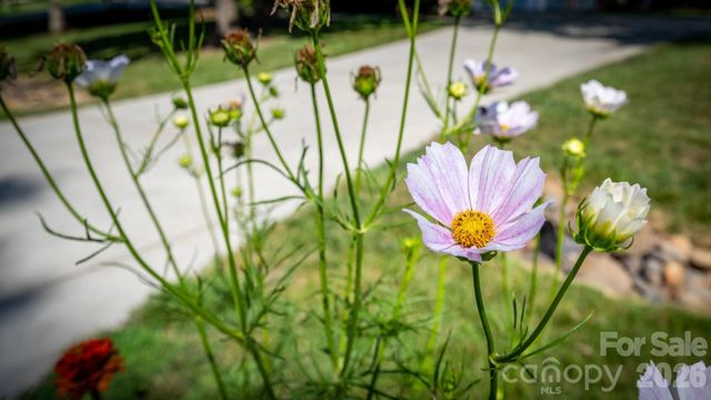 7933 Sally Clark Drive, Denver, NC 28037