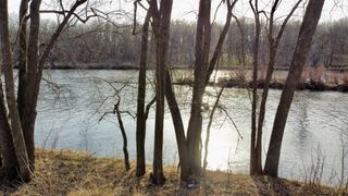 xxxx SW County 32, Motley, MN 56466