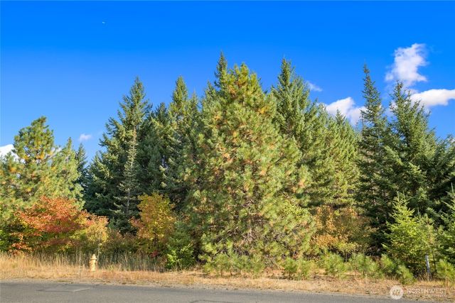 3241 Jenkins Drive, Cle Elum, WA 98922