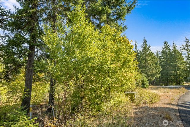 3241 Jenkins Drive, Cle Elum, WA 98922