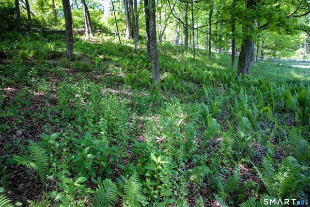 131 Rte 39 North, Sherman, CT 06784
