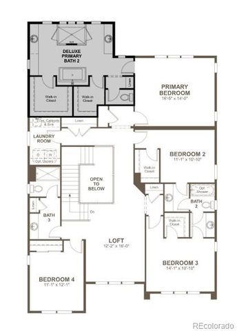 8514 Piedra River Street, Littleton, CO 80125