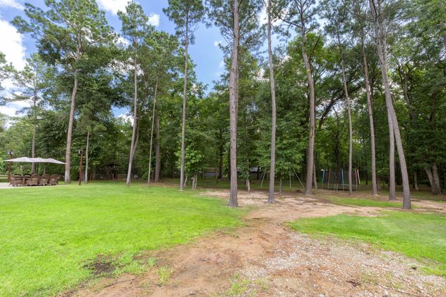 40708 Lost San Saba Lane, Montgomery, TX 77316