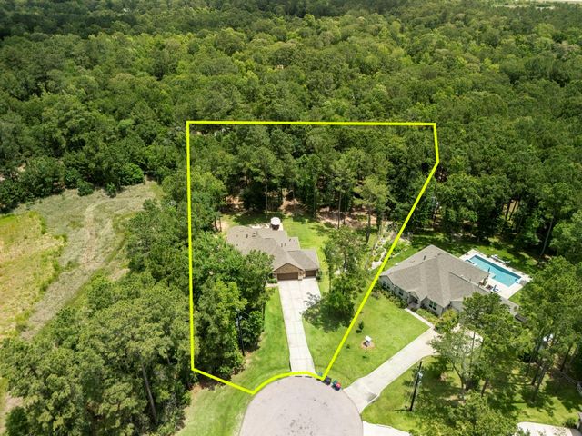 40708 Lost San Saba Lane, Montgomery, TX 77316