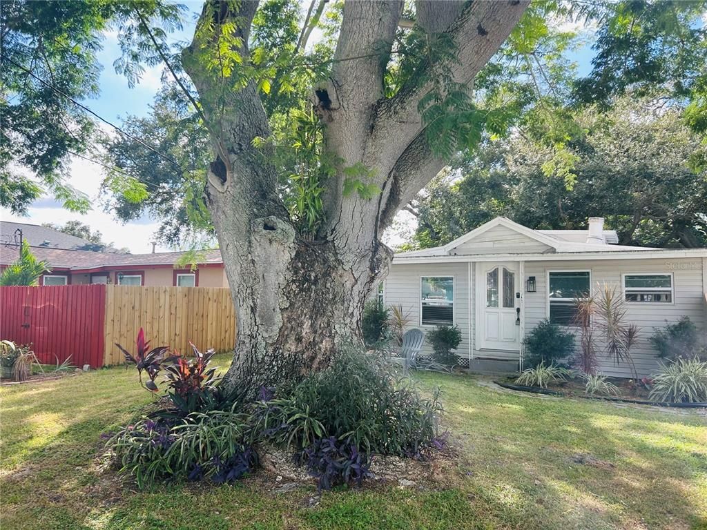 1518 SCRANTON AVENUE, Clearwater, FL 33756