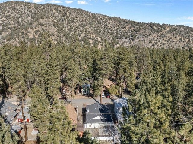 1489 Irene, Wrightwood, CA 92397