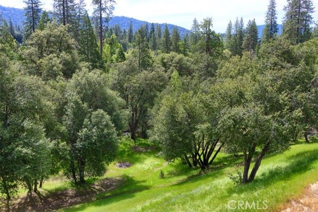 2403 Parmabelle Road, Mariposa, CA 95338