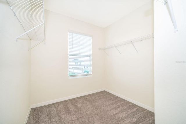 30915 PENNY SURF LOOP, Wesley Chapel, FL 33545