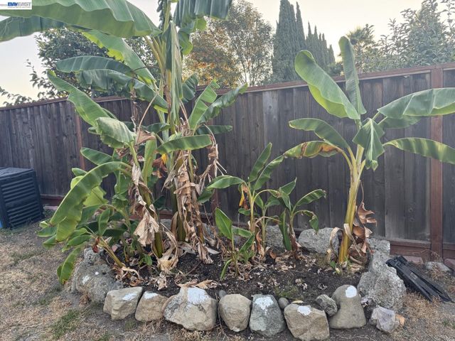 1603 Morgan St, Mountain View, CA 94043