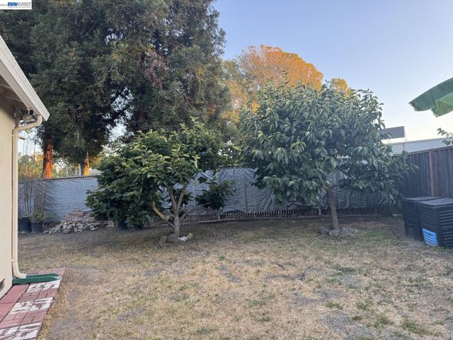 1603 Morgan St, Mountain View, CA 94043