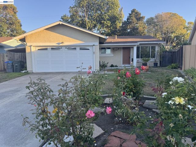 1603 Morgan St, Mountain View, CA 94043