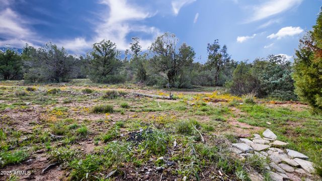917 W SADDLE Lane, Payson, AZ 85541
