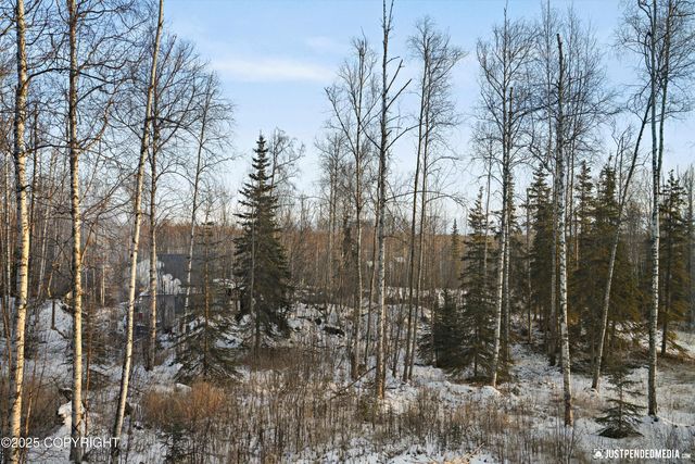 12475 W Corn Street, Houston, AK 99623