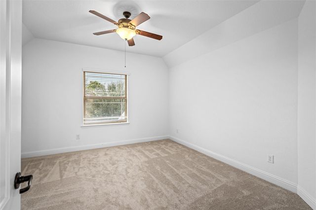 28206 Green Forest Bluff Trail, Katy, TX 77494