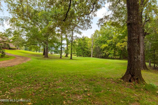 373 Chapel Hill Road, Flora, MS 39071