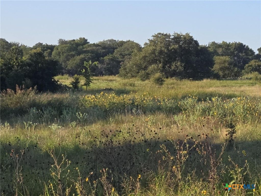 165 Guadalupe Drive, Oglesby, TX 76561