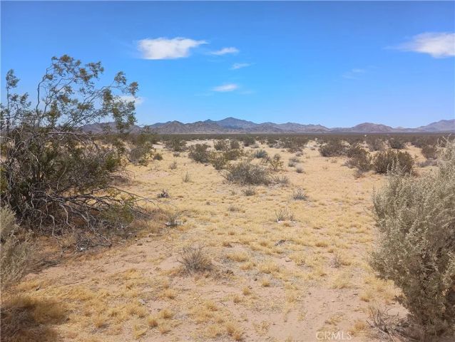 5 North Side, Lucerne Valley, CA 92356