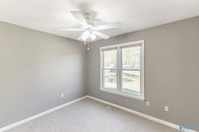3742 Elkwood Section Road, Toney, AL 35773