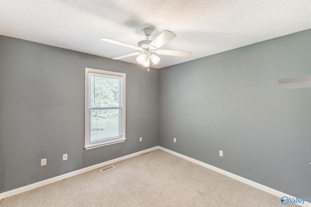 3742 Elkwood Section Road, Toney, AL 35773