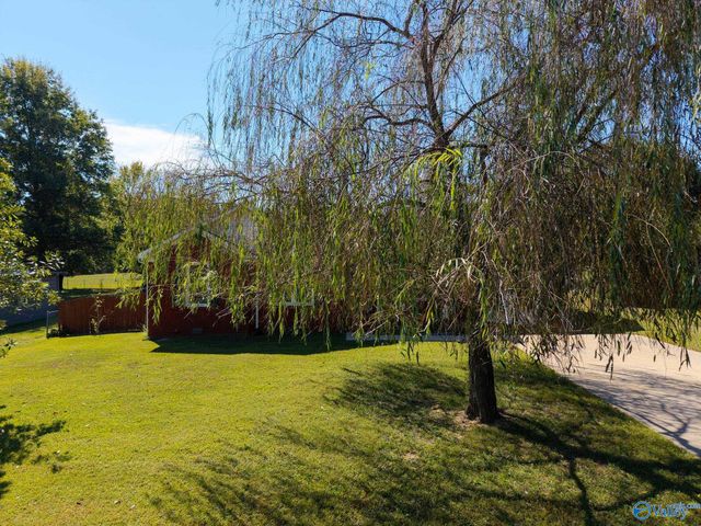 3742 Elkwood Section Road, Toney, AL 35773