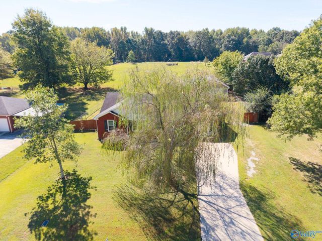 3742 Elkwood Section Road, Toney, AL 35773