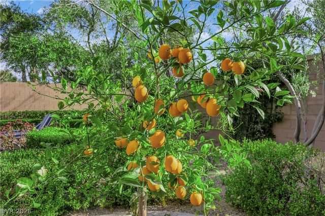 2407 Antrim Irish Drive, Henderson, NV 89044