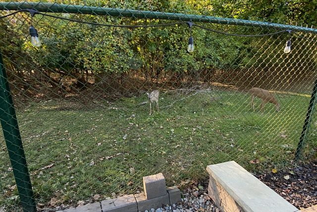 1109 N Alexander Avenue, Royal Oak, MI 48067