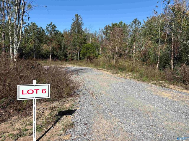 Lot 6 Hwy 40, Henagar, AL 35978