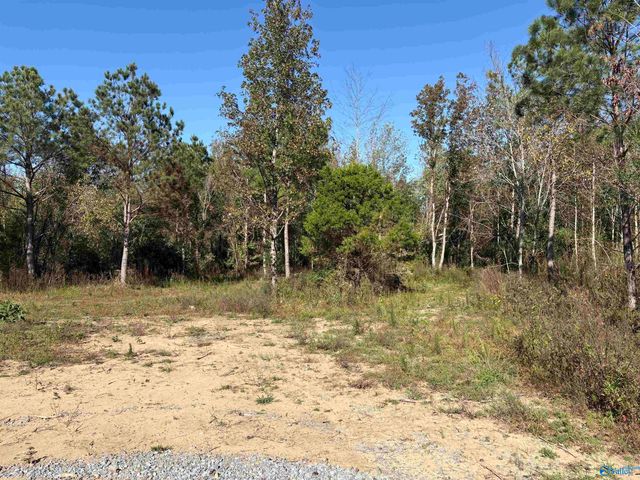 Lot 6 Hwy 40, Henagar, AL 35978