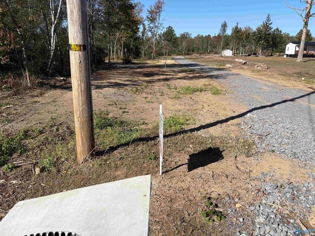 Lot 6 Hwy 40, Henagar, AL 35978