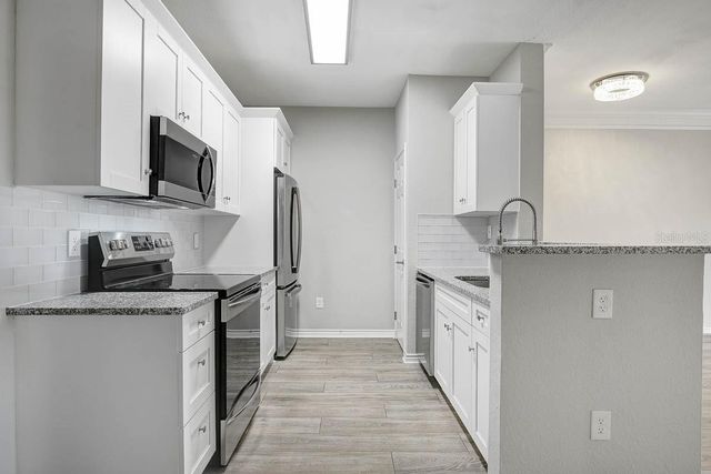 4311 BAYSIDE VILLAGE DRIVE 303, Tampa, FL 33615