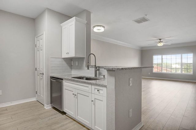 4311 BAYSIDE VILLAGE DRIVE 303, Tampa, FL 33615