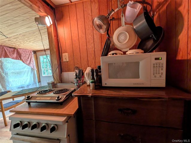 55 E Reindeer Trail, Smallwood, NY 12720