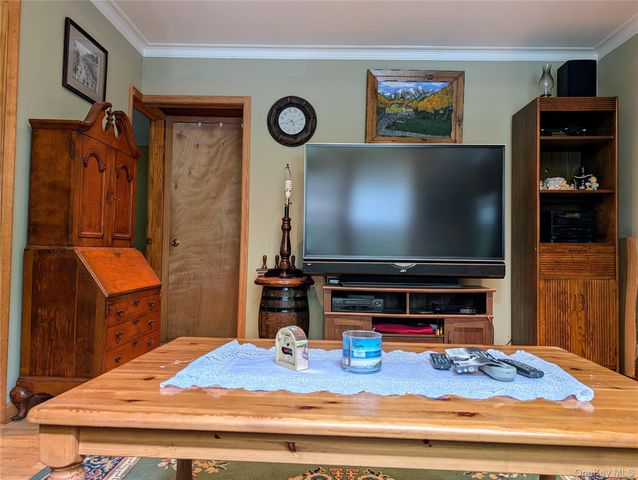 55 E Reindeer Trail, Smallwood, NY 12720