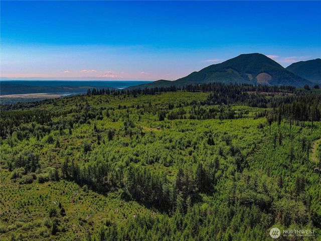 2904 Wildwood Drive, Quilcene, WA 98376