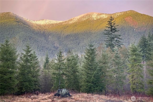2904 Wildwood Drive, Quilcene, WA 98376