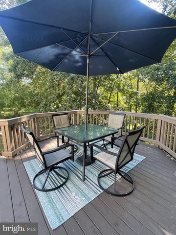 13783 HENRY POND CT, Chantilly, VA 20151