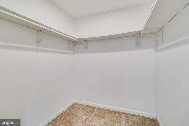 5017 BRANDYWINE ST, Saint Leonard, MD 20685