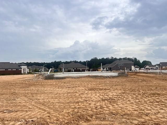 226 Violet Crown Lane, New Caney, TX 77357