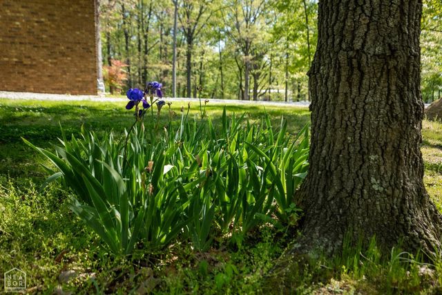 6613 S Caraway, Jonesboro, AR 72404