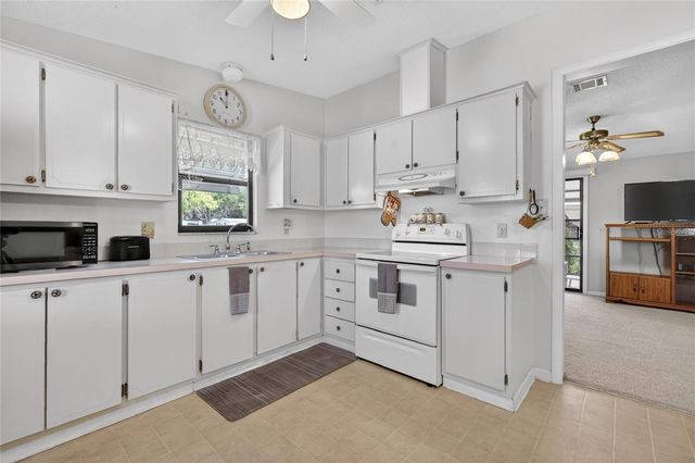 1617 CYPRESS POINT, The Villages, FL 32159