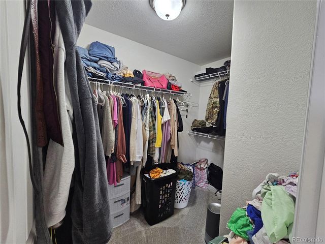 10253 Winter Gem Grove, Colorado Springs, CO 80925