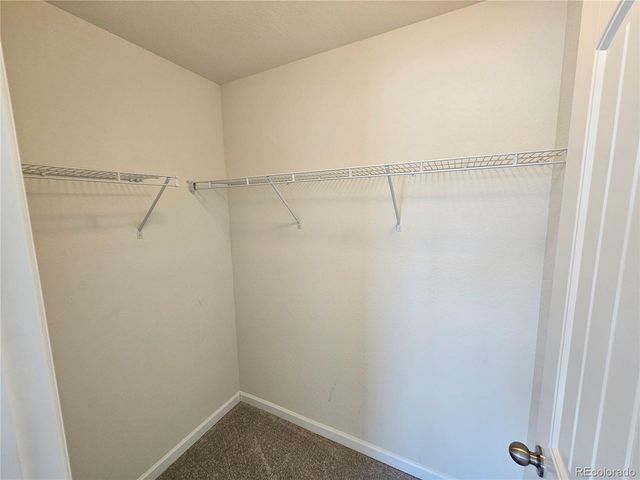 10253 Winter Gem Grove, Colorado Springs, CO 80925