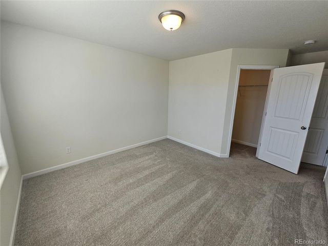 10253 Winter Gem Grove, Colorado Springs, CO 80925